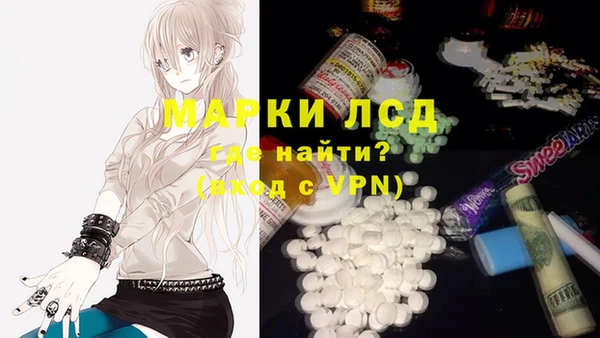 прущий лед Алзамай