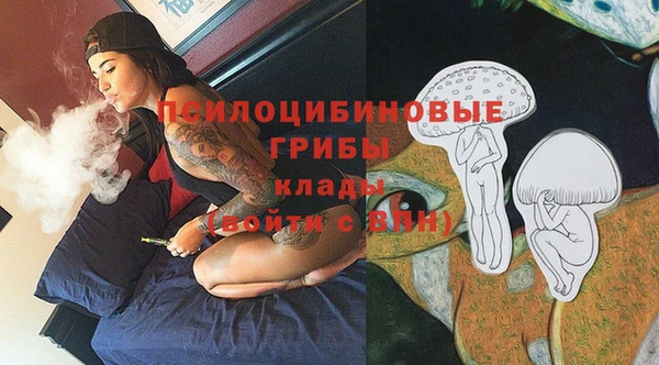 бошки Алексеевка