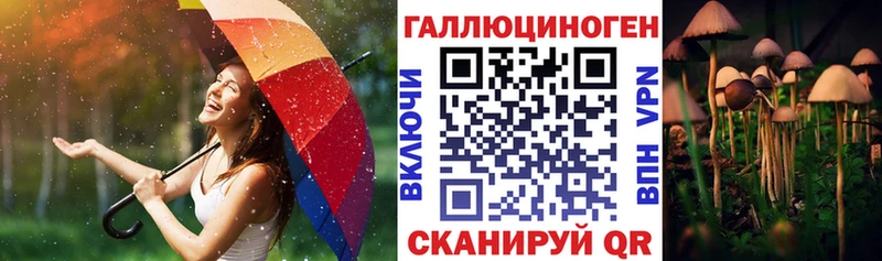 Псилоцибиновые грибы MAGIC MUSHROOMS  купить   Южно-Сухокумск 